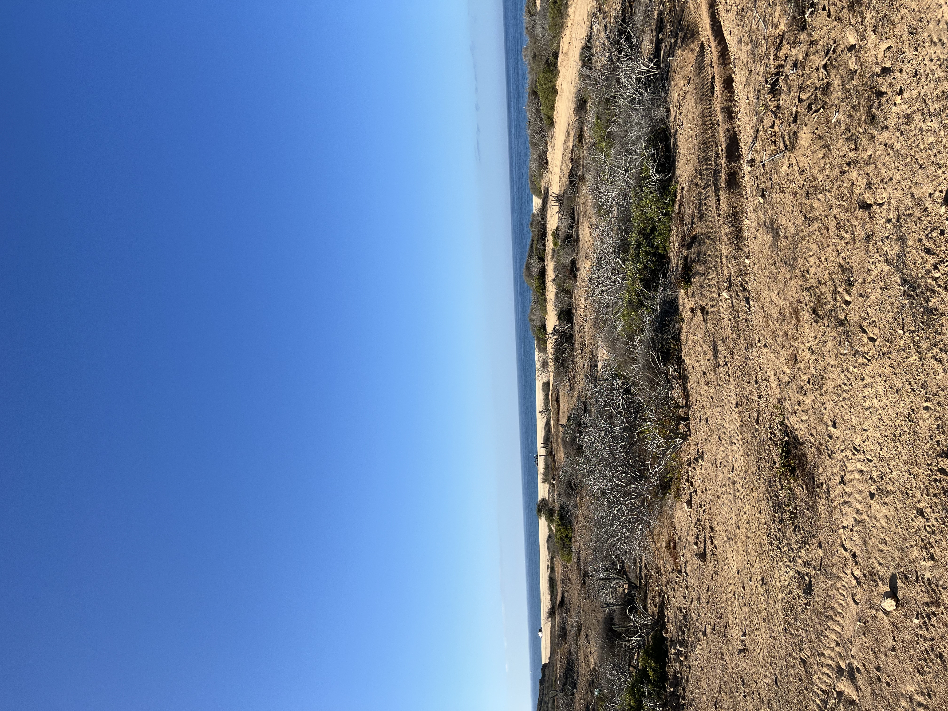 ./2024/13 - Cabo/IMG_4383.jpg